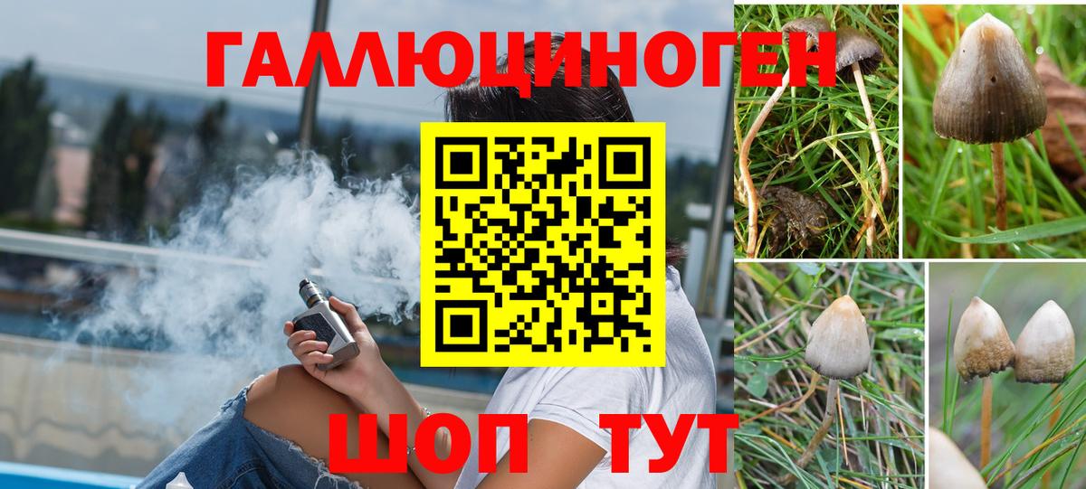 Галлюциногенные грибы Psilocybe Канаш