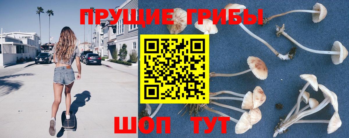 Галлюциногенные грибы прущие грибы  Вход с VPN  Канаш 